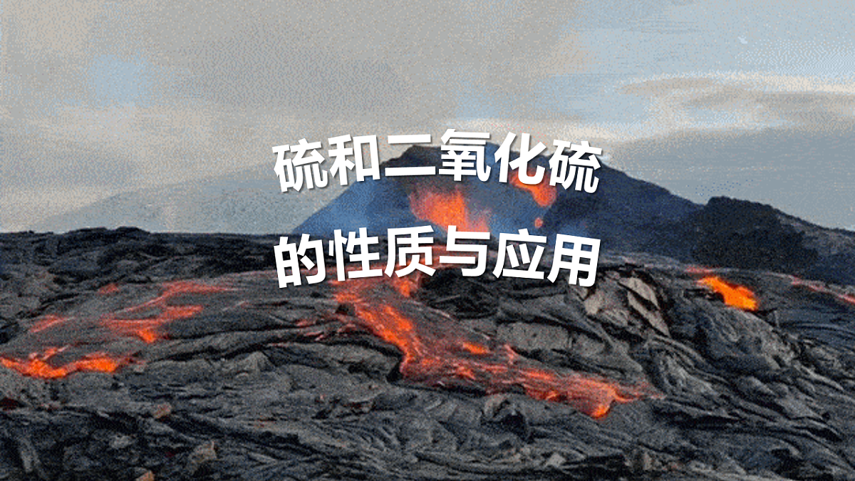 17873318第4页