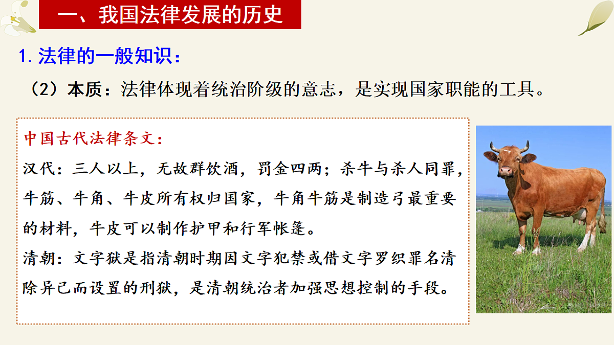 17873363第5页