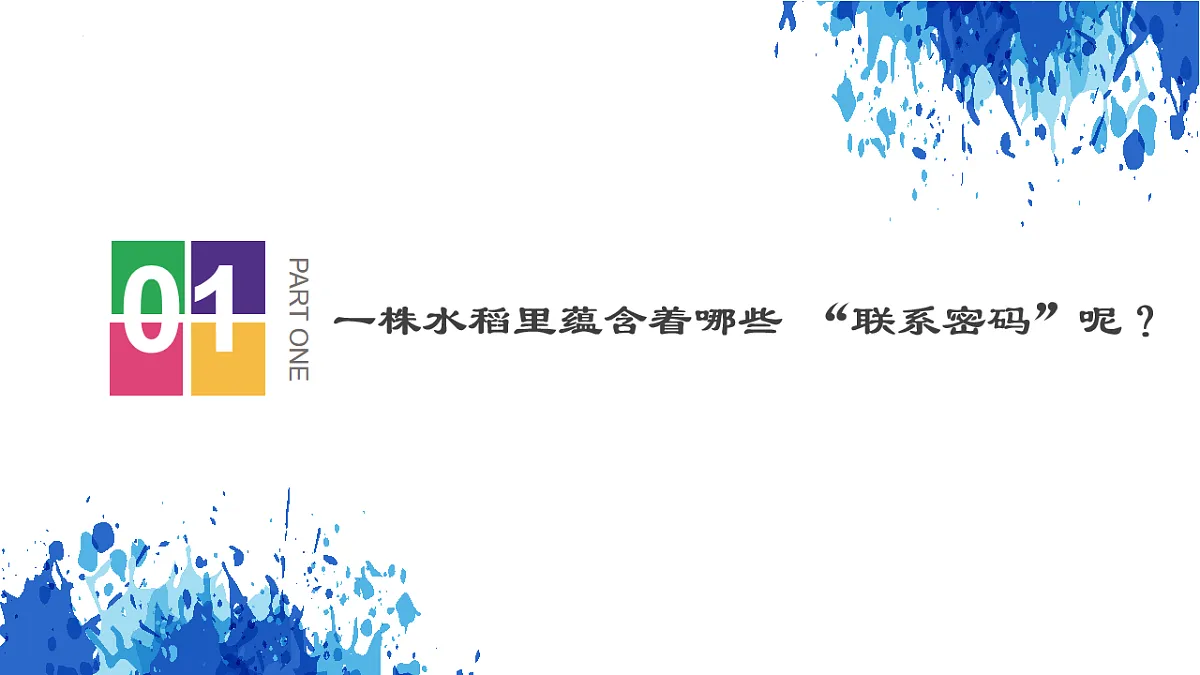 17873401第4页