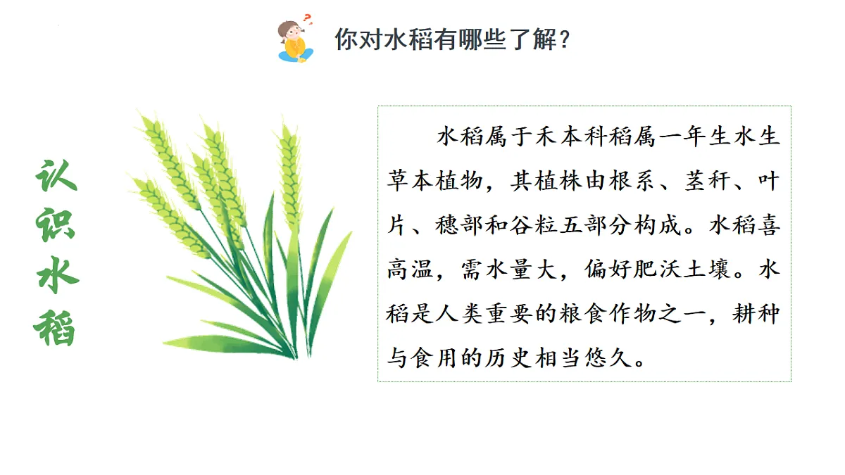 17873401第5页