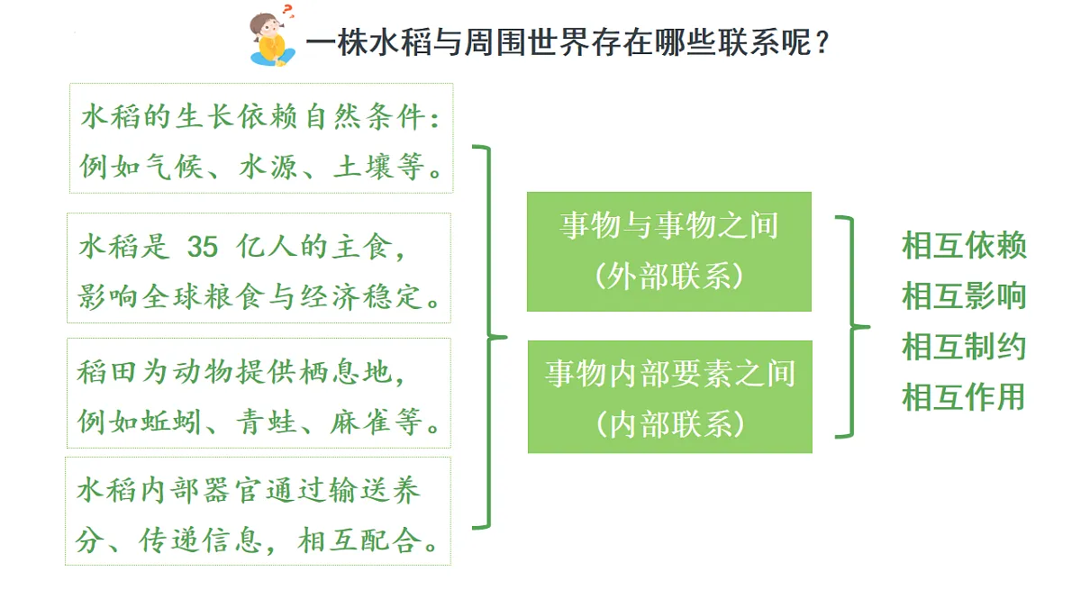 17873401第6页