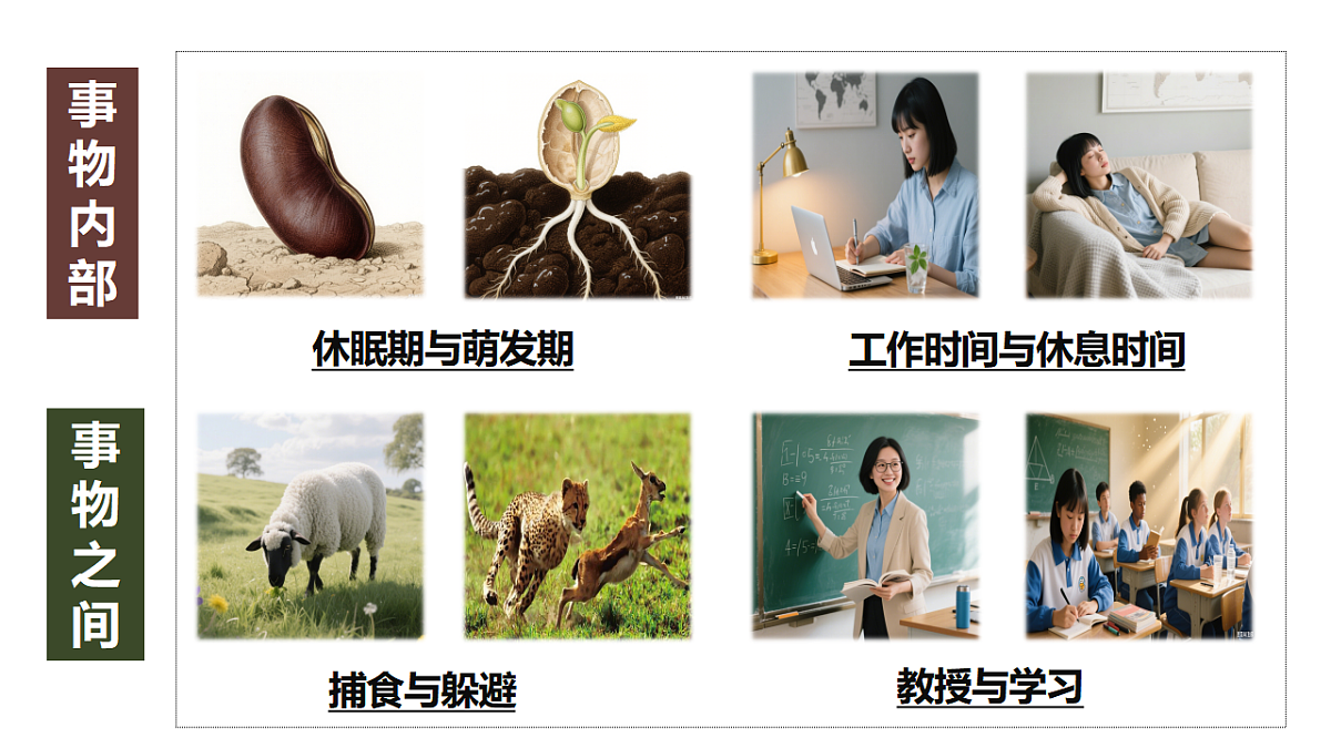 17873403第8页