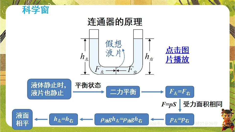 17878555第5页