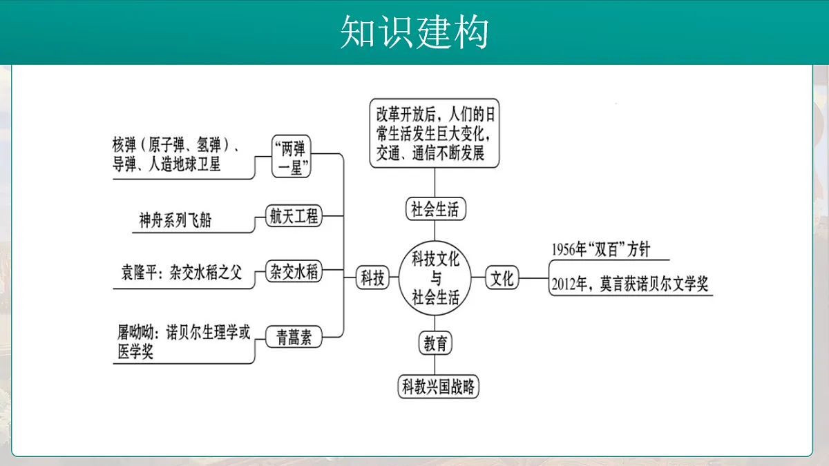 17881063第5页