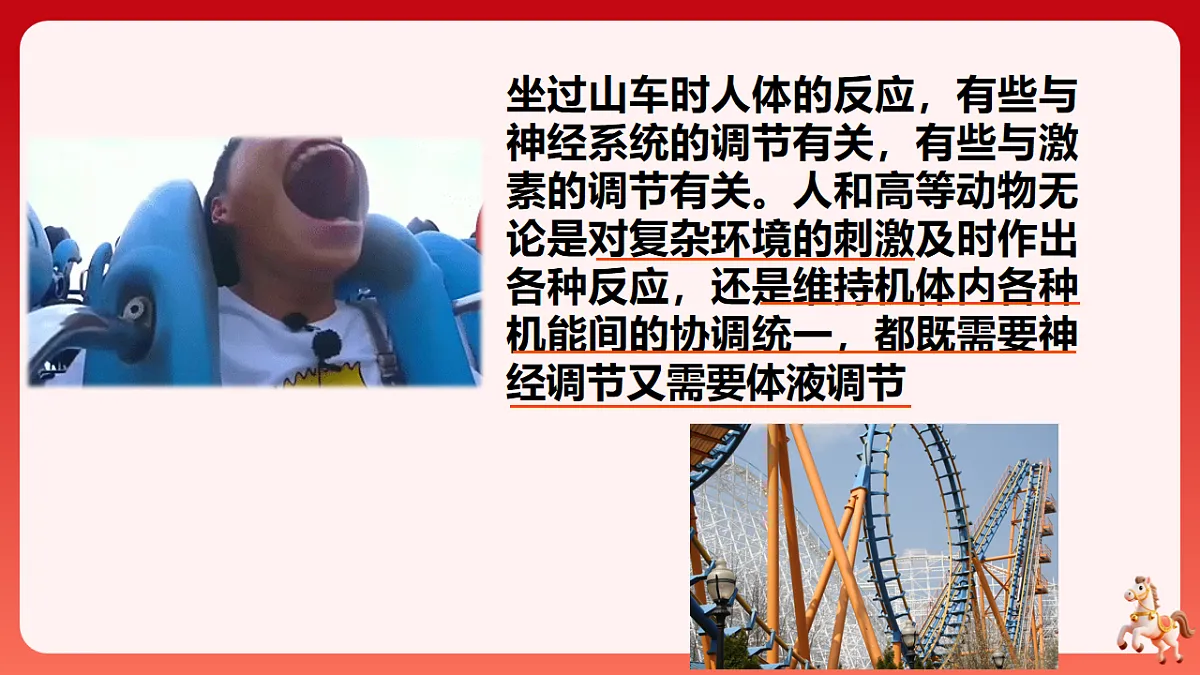 17882267第4页