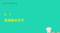 初中化学鲁教版(2024)九年级上册(2024)运动的水分子课堂教学课件ppt