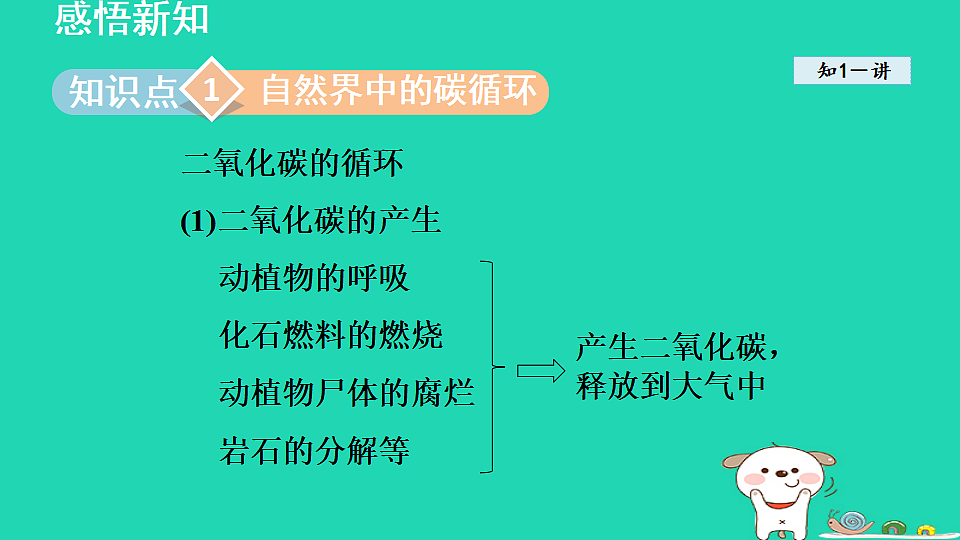 17884903第3页