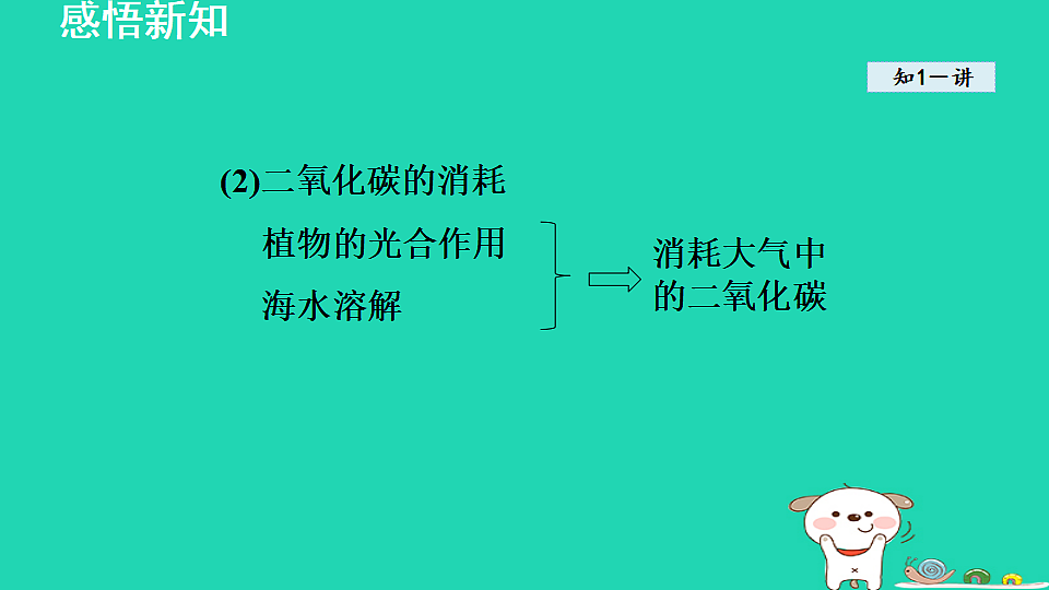 17884903第4页