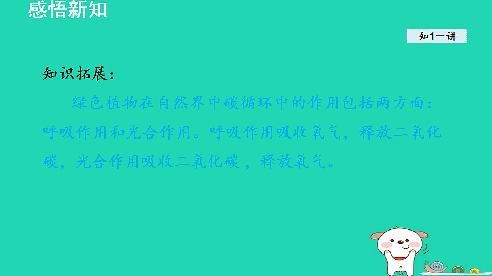 17884903第5页