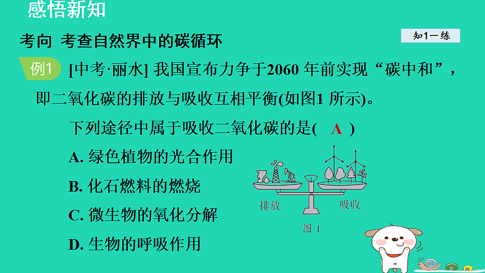 17884903第6页