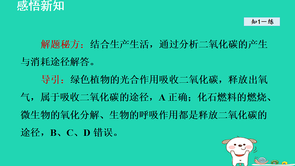 17884903第7页
