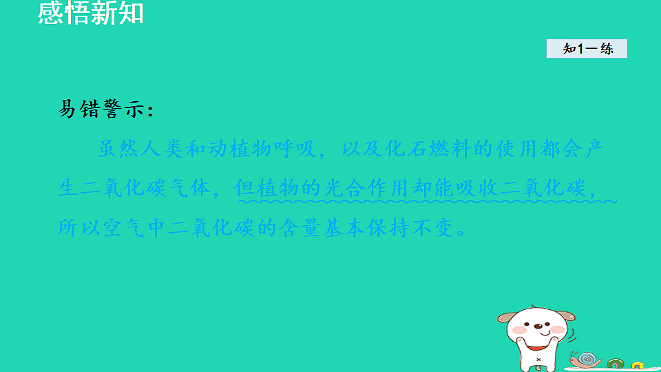 17884903第8页