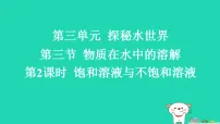 初中化学鲁教版（2024）九年级上册（2024）物质在水中的溶解习题课件ppt