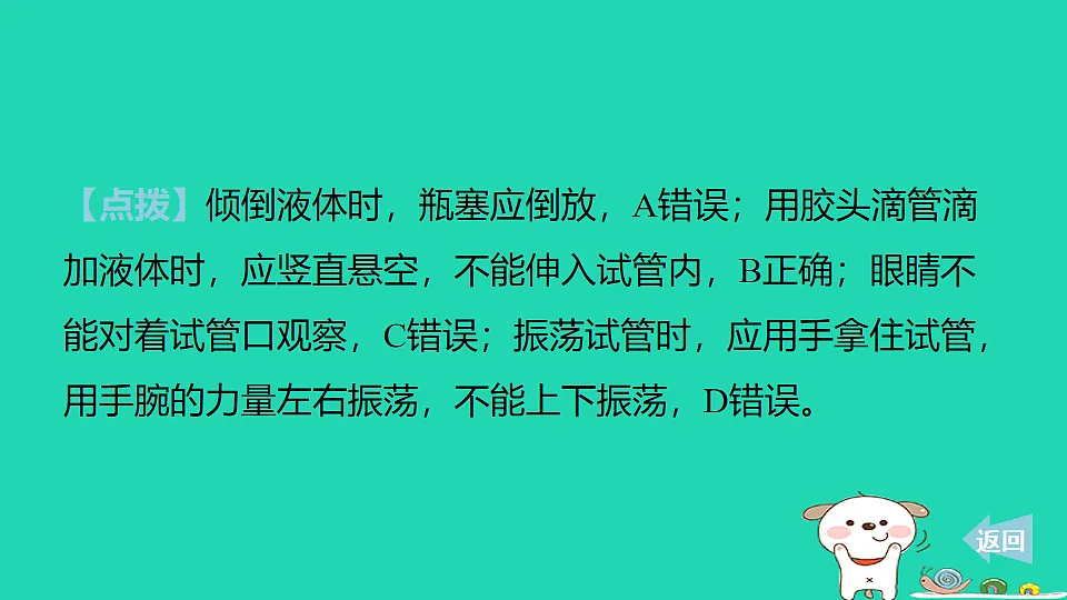 17886381第3页