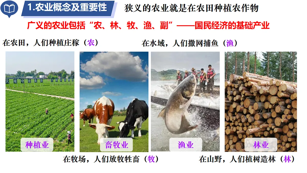 17887012第3页