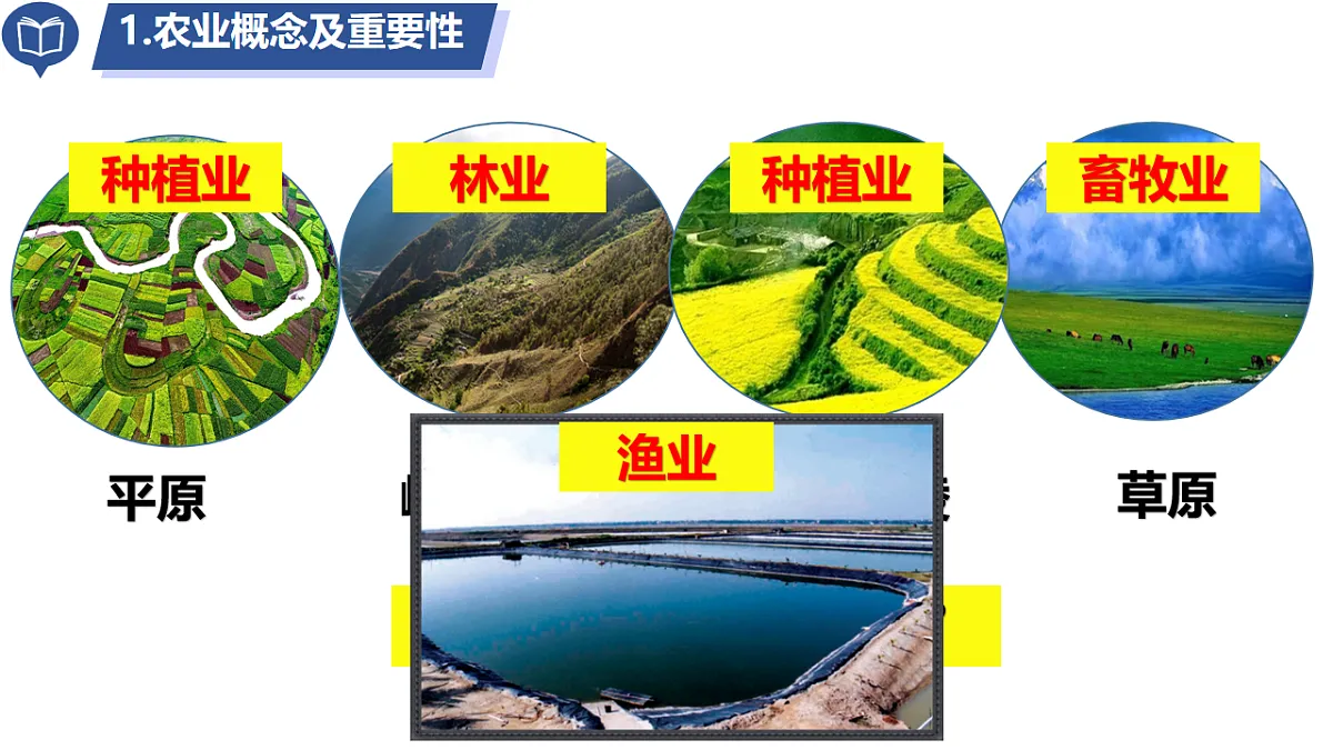 17887012第4页
