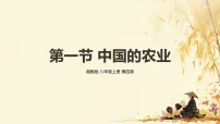 初中地理湘教版(2024)八年级上册(2024)第一节 中国的农业背景图ppt课件