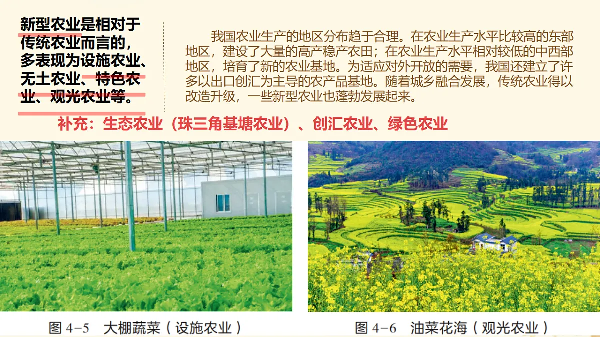 17887013第8页