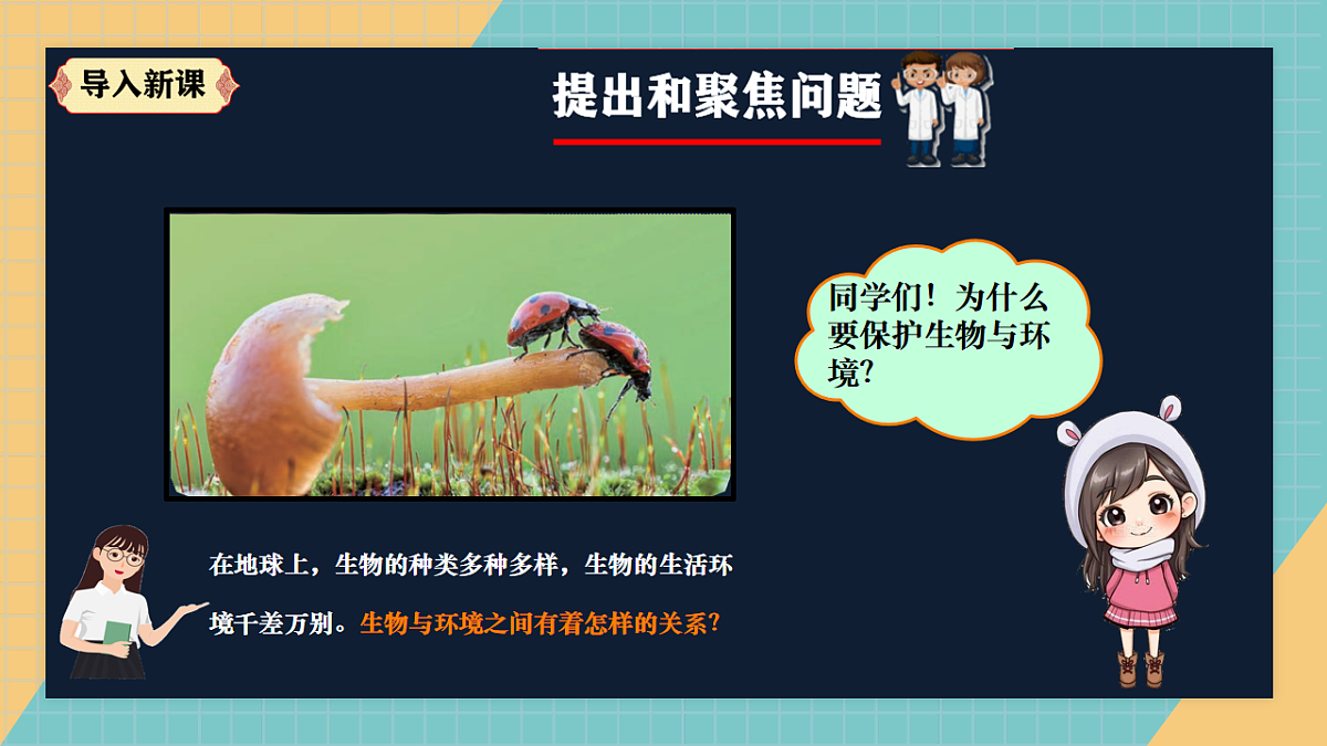 【新课标】1.3《保护生物与环境》课件(27张PPT)第2页