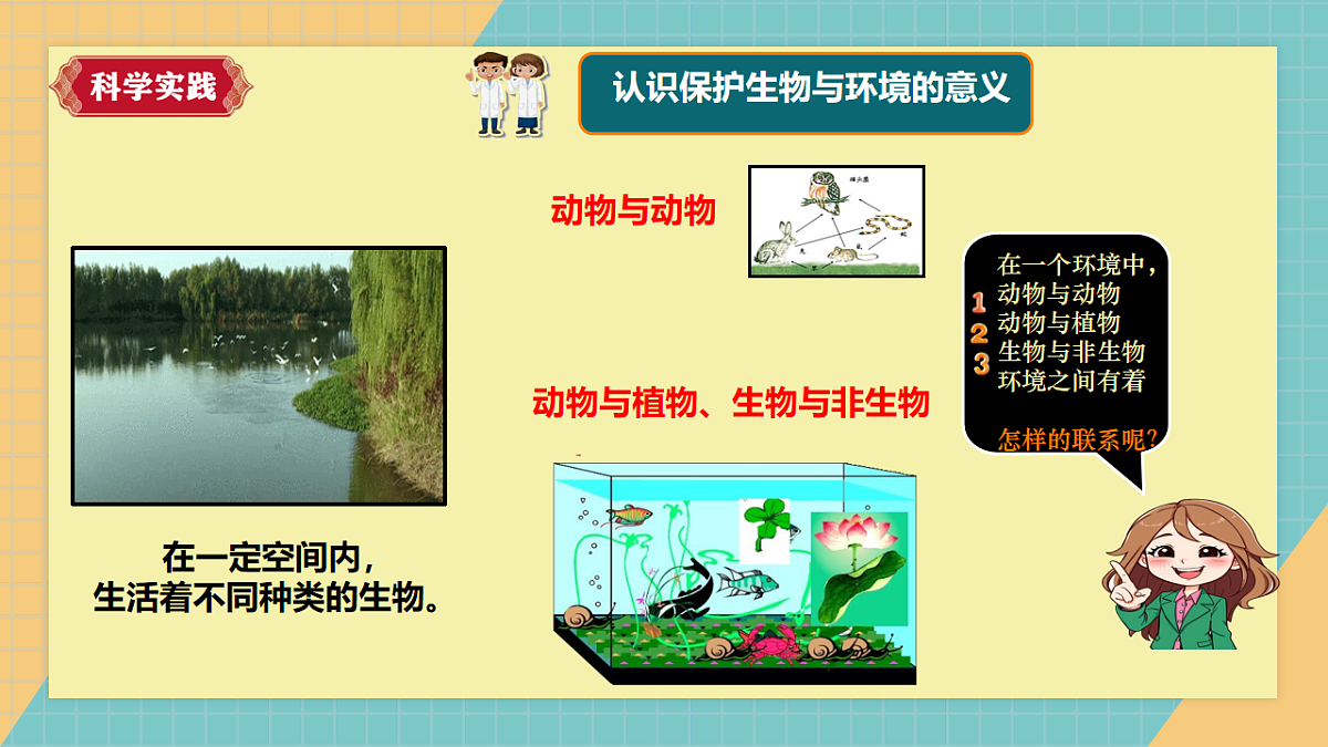 【新课标】1.3《保护生物与环境》课件(27张PPT)第4页