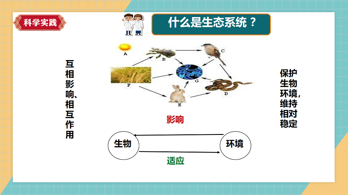 【新课标】1.3《保护生物与环境》课件(27张PPT)第5页