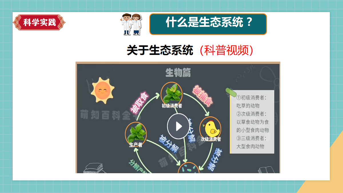 【新课标】1.3《保护生物与环境》课件(27张PPT)第6页