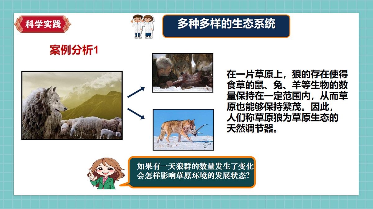 【新课标】1.3《保护生物与环境》课件(27张PPT)第7页