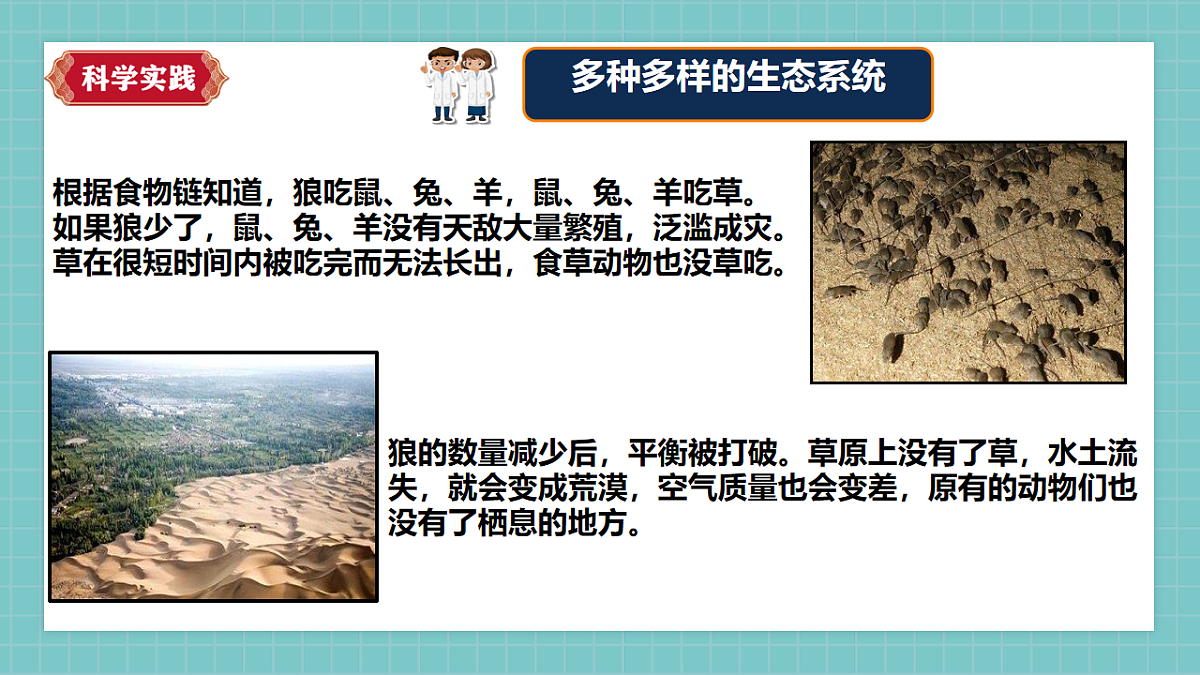 【新课标】1.3《保护生物与环境》课件(27张PPT)第8页