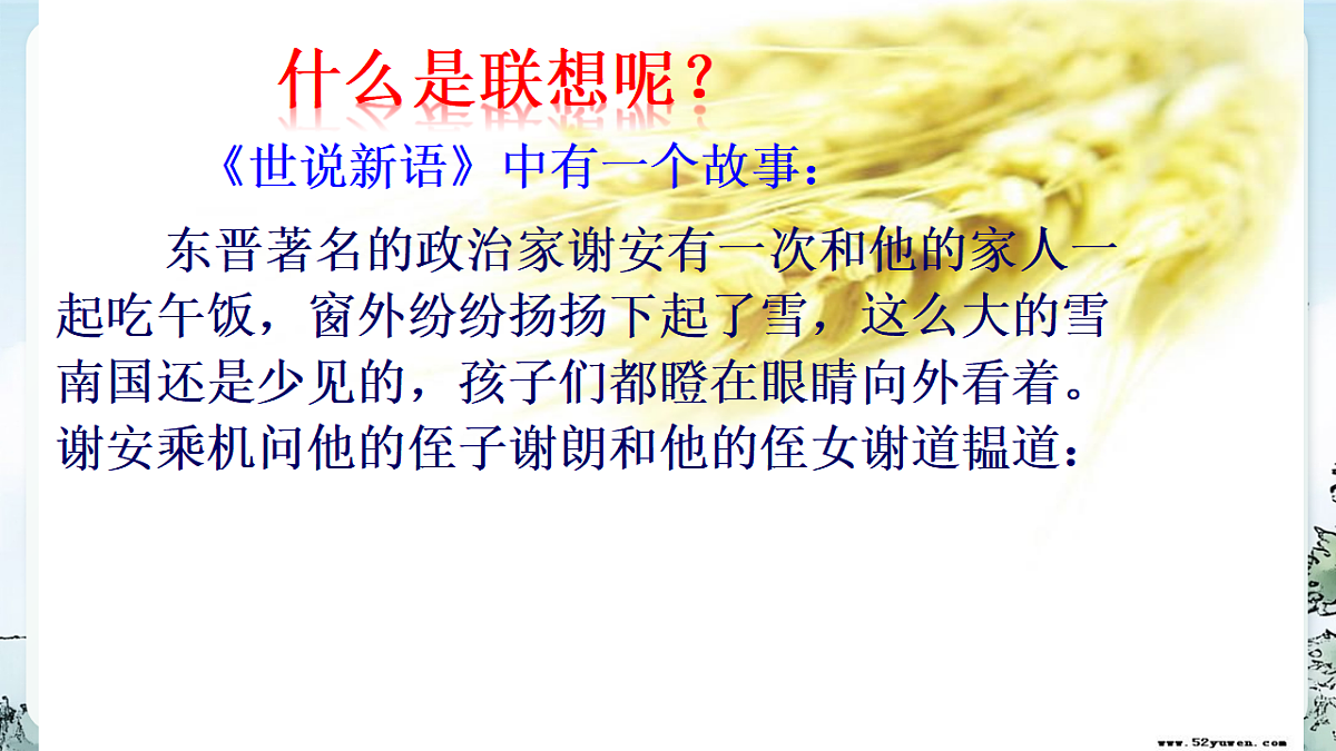 17888906第4页
