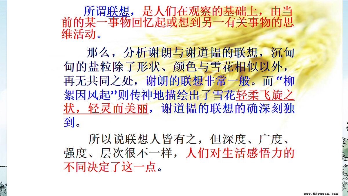 17888906第6页