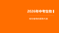2026年中考生物一轮复习知识点课件-绿色植物的新陈代谢