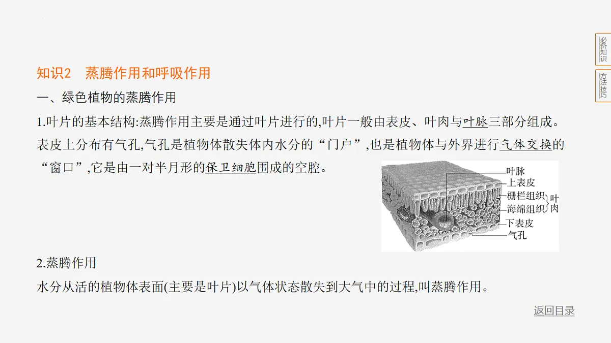 17889672第6页
