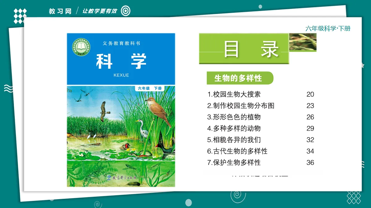 六年级下册科学2.1校园生物大搜索 教学ppt课件(共28张PPT)教科版(2017)第1页