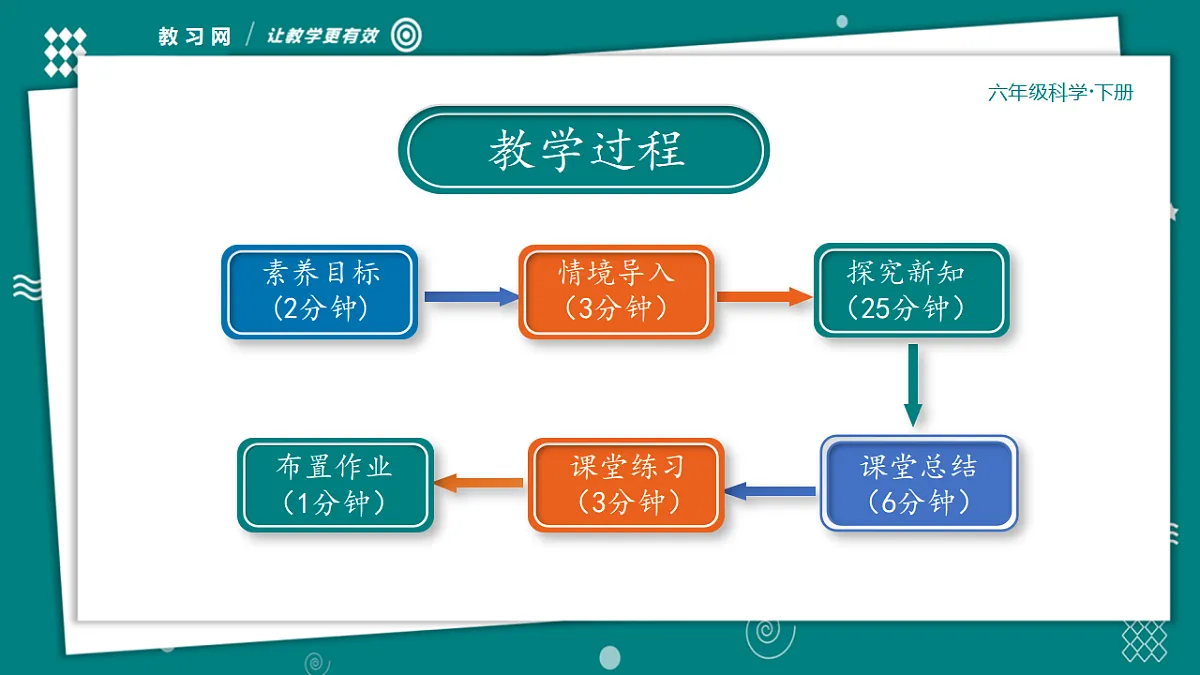 六年级下册科学2.1校园生物大搜索 教学ppt课件(共28张PPT)教科版(2017)第3页