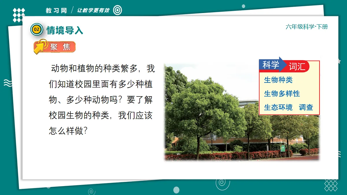 六年级下册科学2.1校园生物大搜索 教学ppt课件(共28张PPT)教科版(2017)第7页