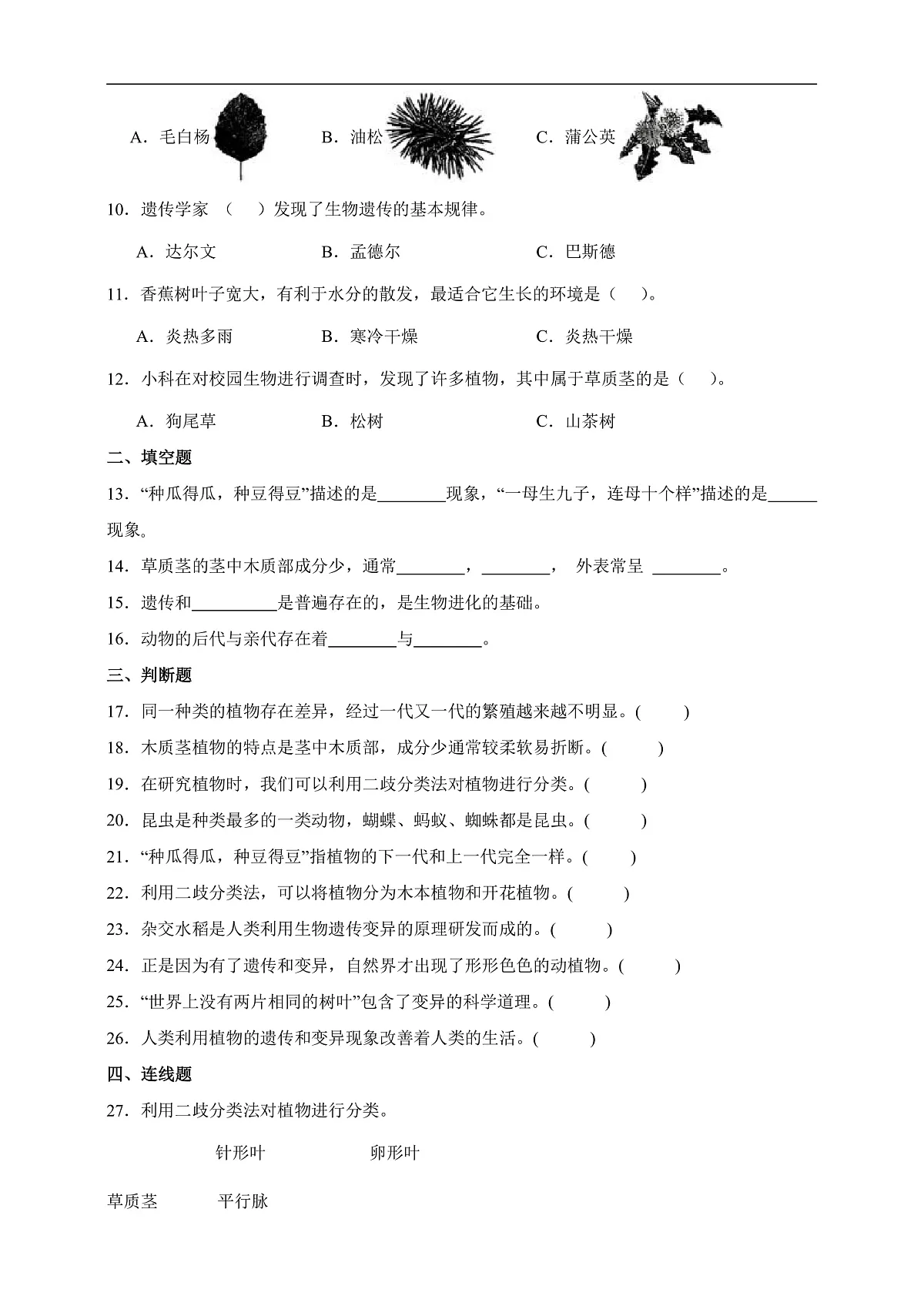 2.3 形形色色的植物 同步分层练习(含答案)-教科版六年级下册科学第2页