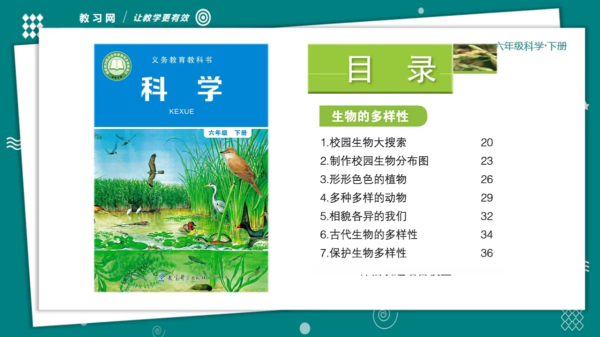 六年级下册科学2.3形形色色的植物 教学ppt课件(共25张PPT)教科版(2017)第1页