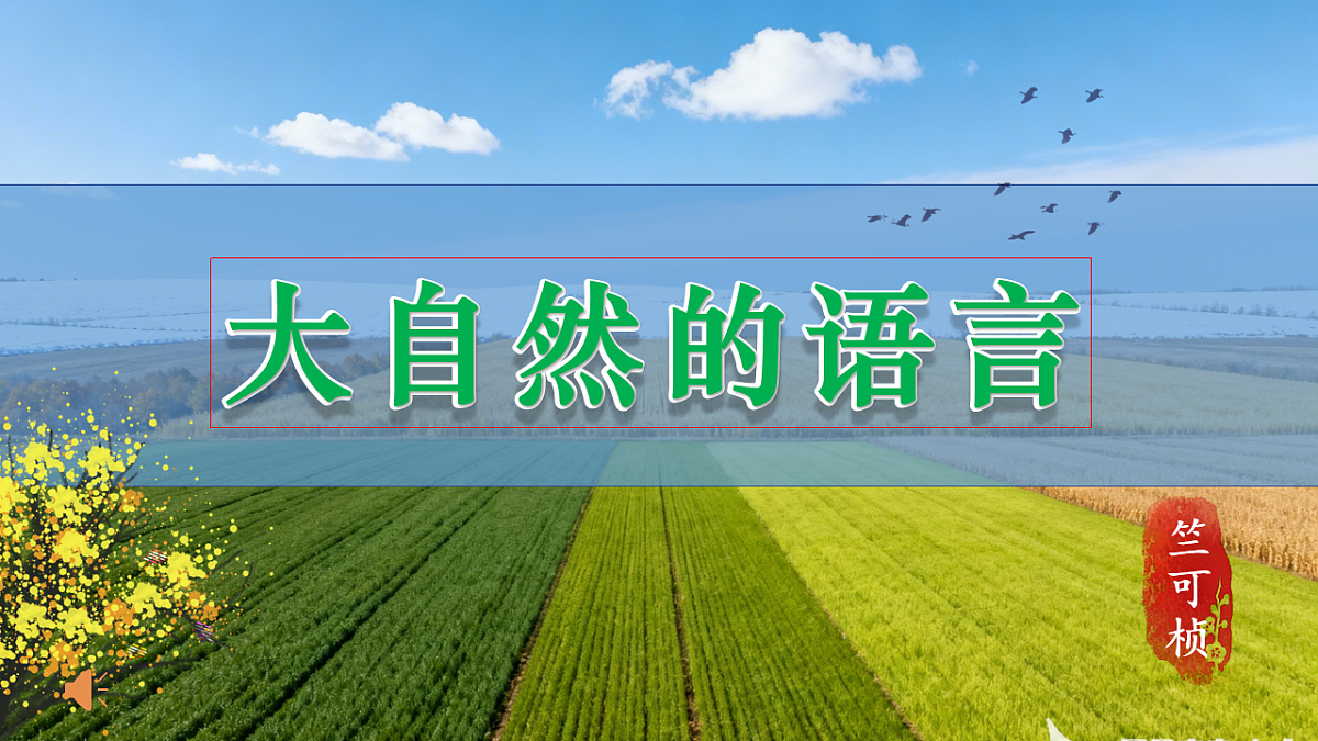 17891289第1页