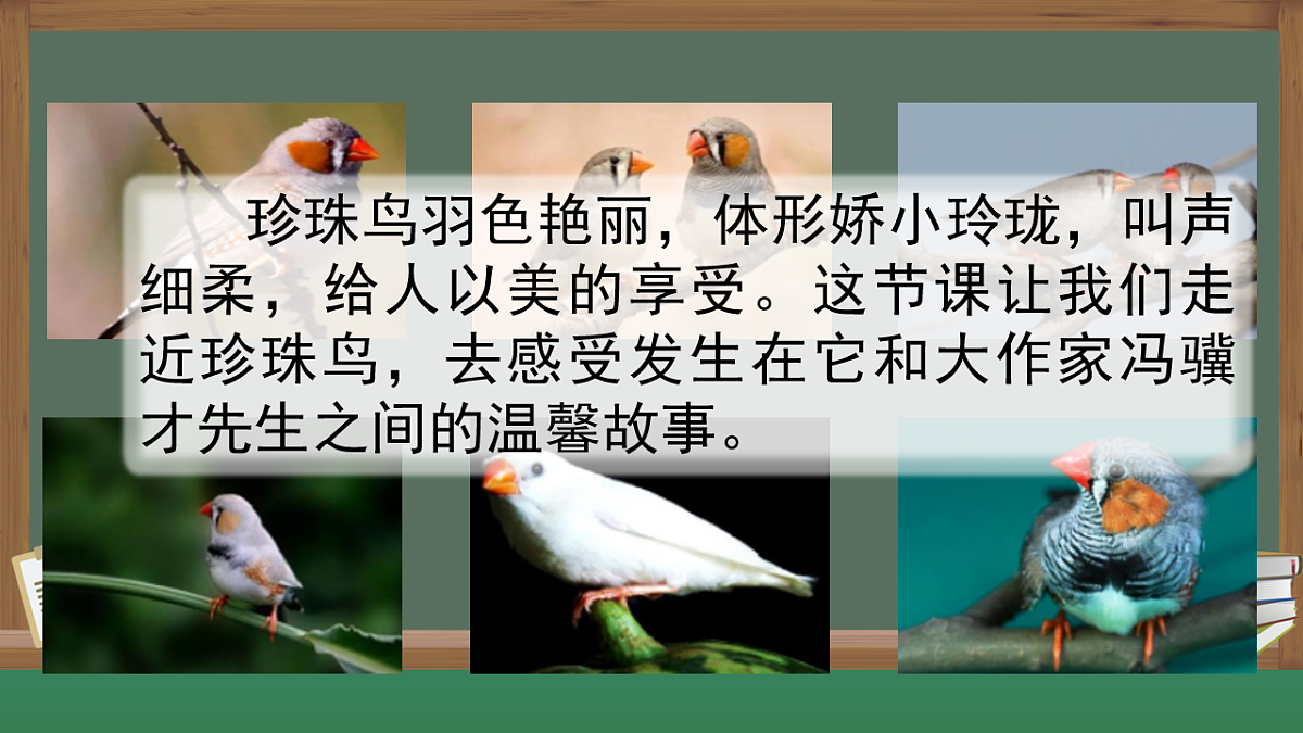 17893583第2页