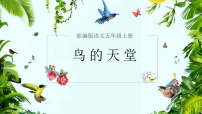 小学语文统编版（2024）五年级上册鸟的天堂课文内容课件ppt