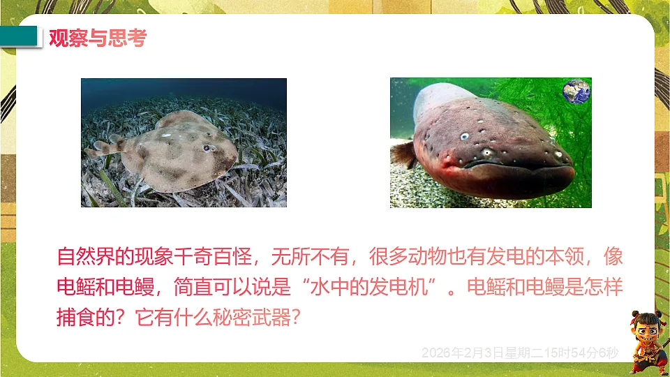 17893850第3页