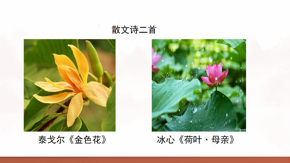 17893899第2页