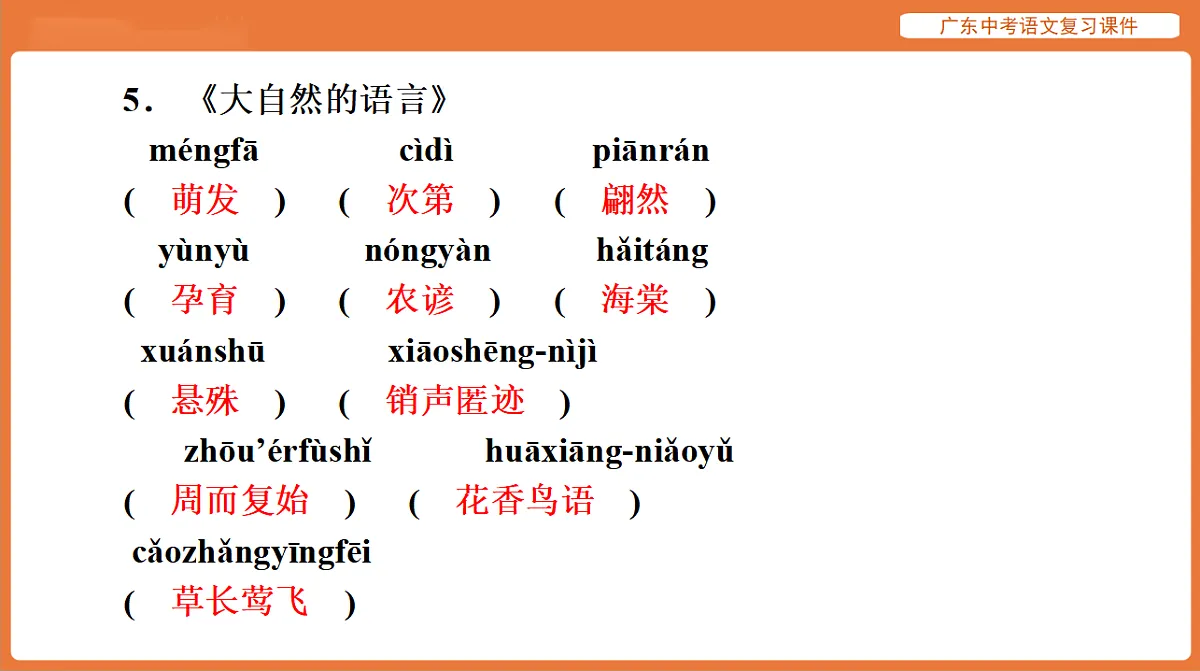 17894072第7页