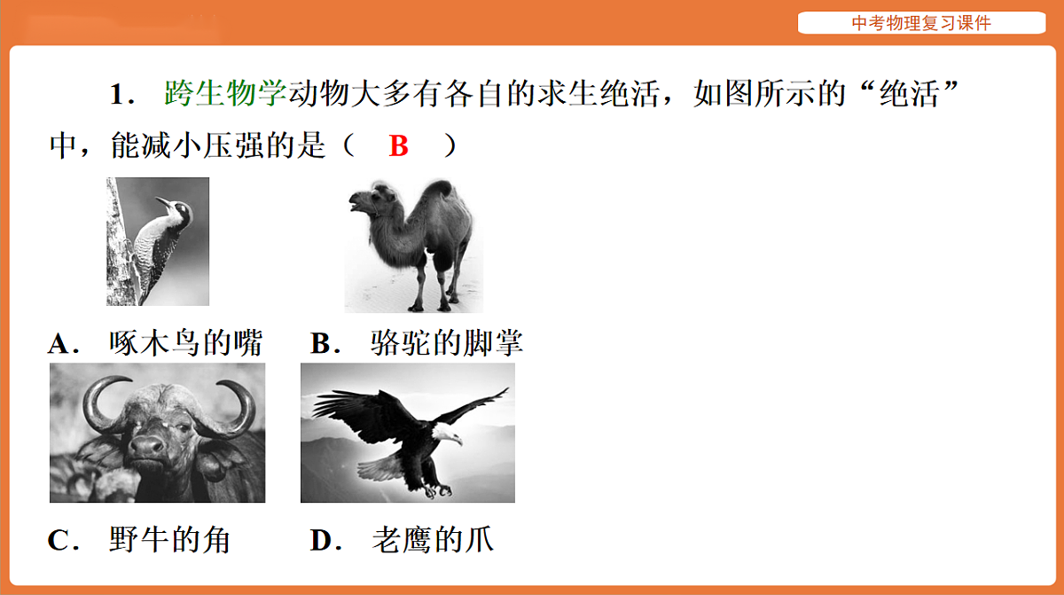 17894269第2页