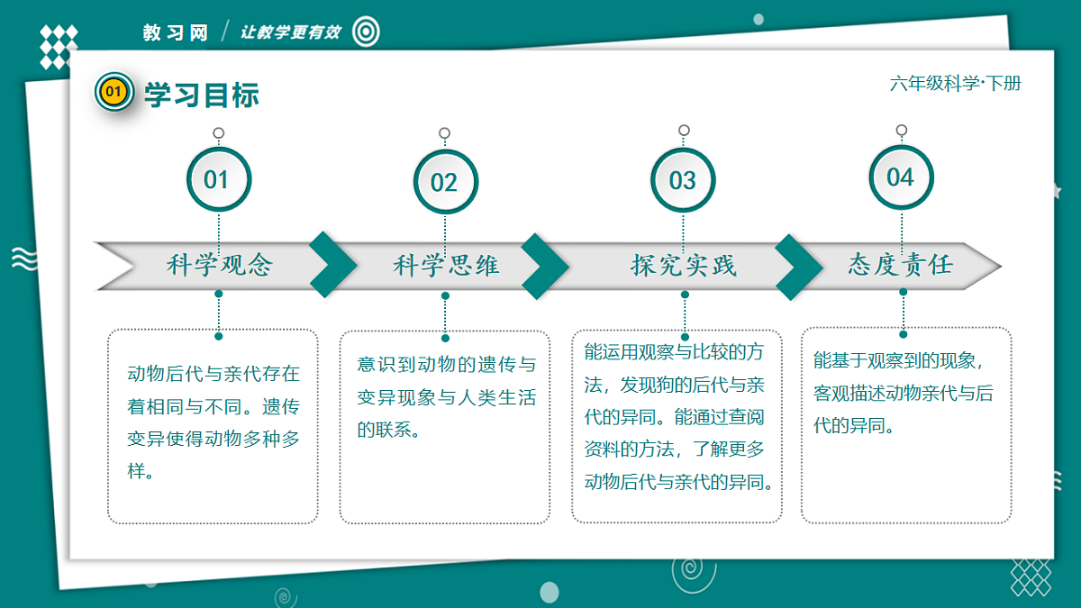 六年级下册科学2.4 多种多样的动物 教学ppt课件(共35张PPT)教科版(2017)第5页