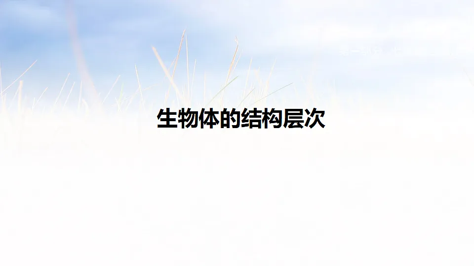 17894817第1页