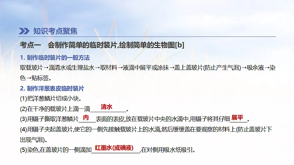 17894817第2页