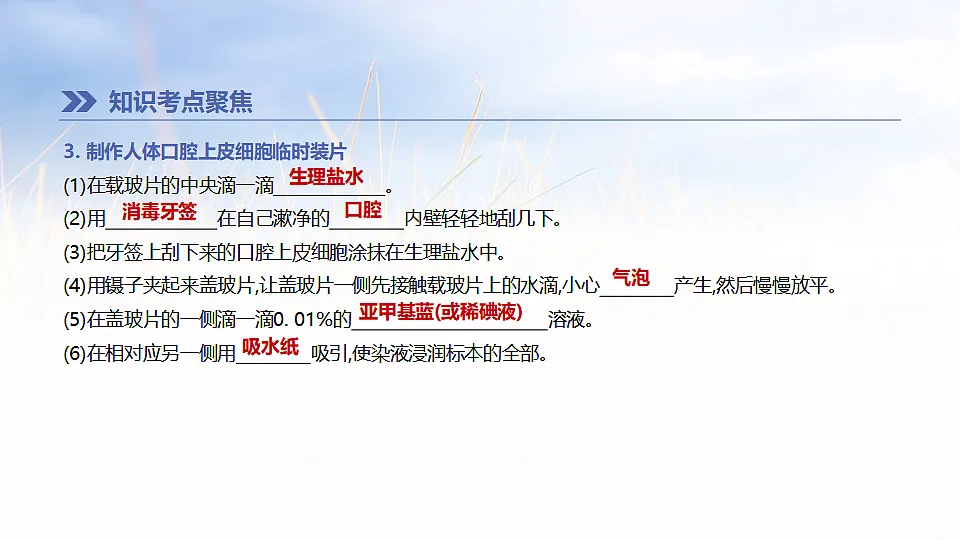 17894817第3页
