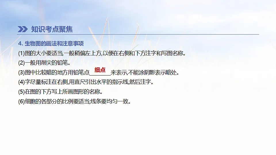 17894817第4页