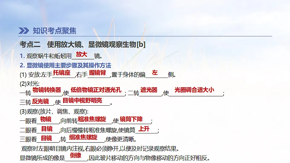 17894817第5页